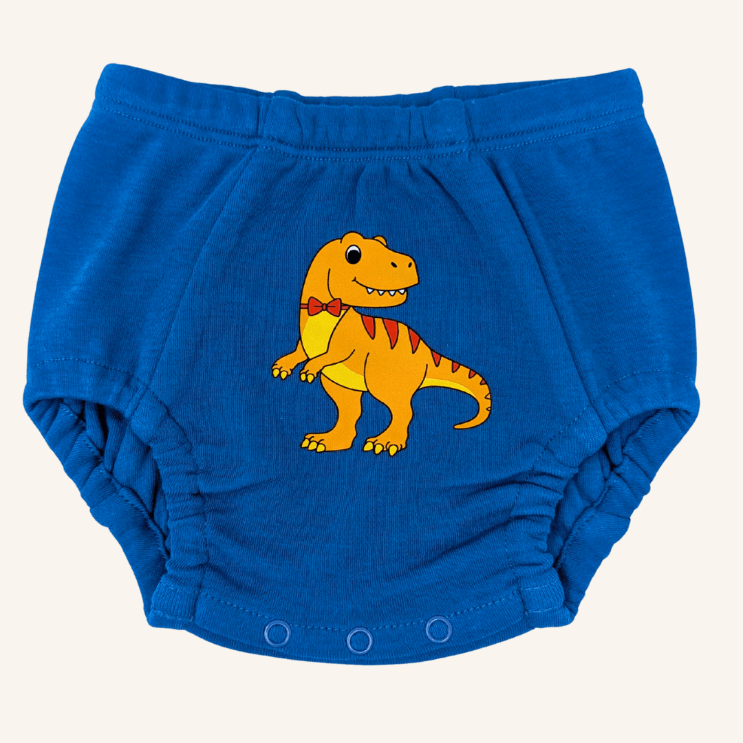 Day & Night Organic Potty Training Underwear