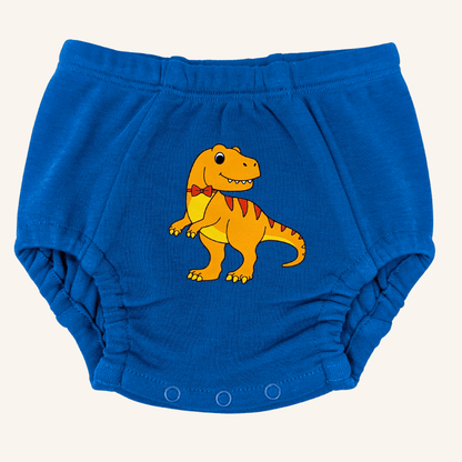 Day & Night Organic Potty Training Underwear