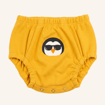 Day & Night Organic Potty Training Underwear