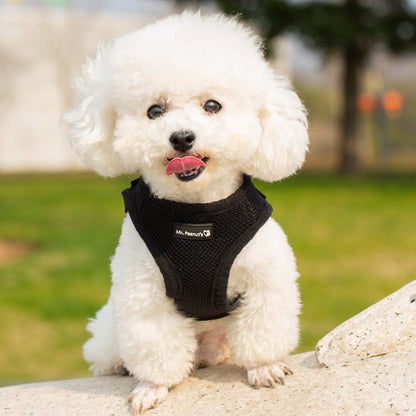 Mr. Peanut's PupTrek Soft Mesh Pet Harness with Matching Leash – Adjustable, Breathable, Choke-Free