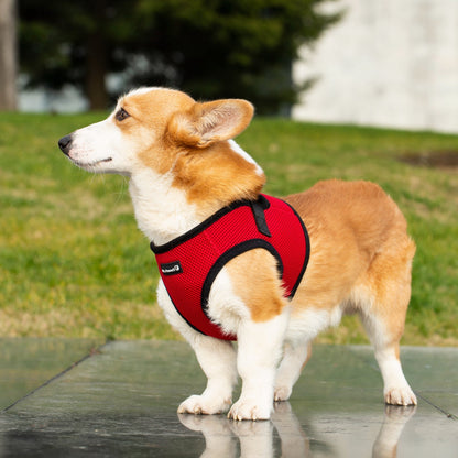 Mr. Peanut's PupTrek Soft Mesh Pet Harness with Matching Leash – Adjustable, Breathable, Choke-Free