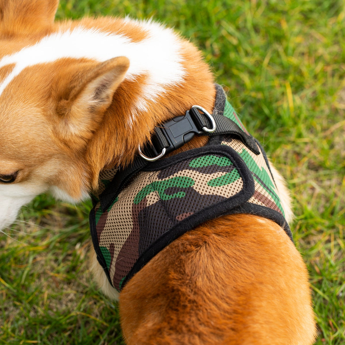 Mr. Peanut's PupTrek Soft Mesh Pet Harness with Matching Leash – Adjustable, Breathable, Choke-Free