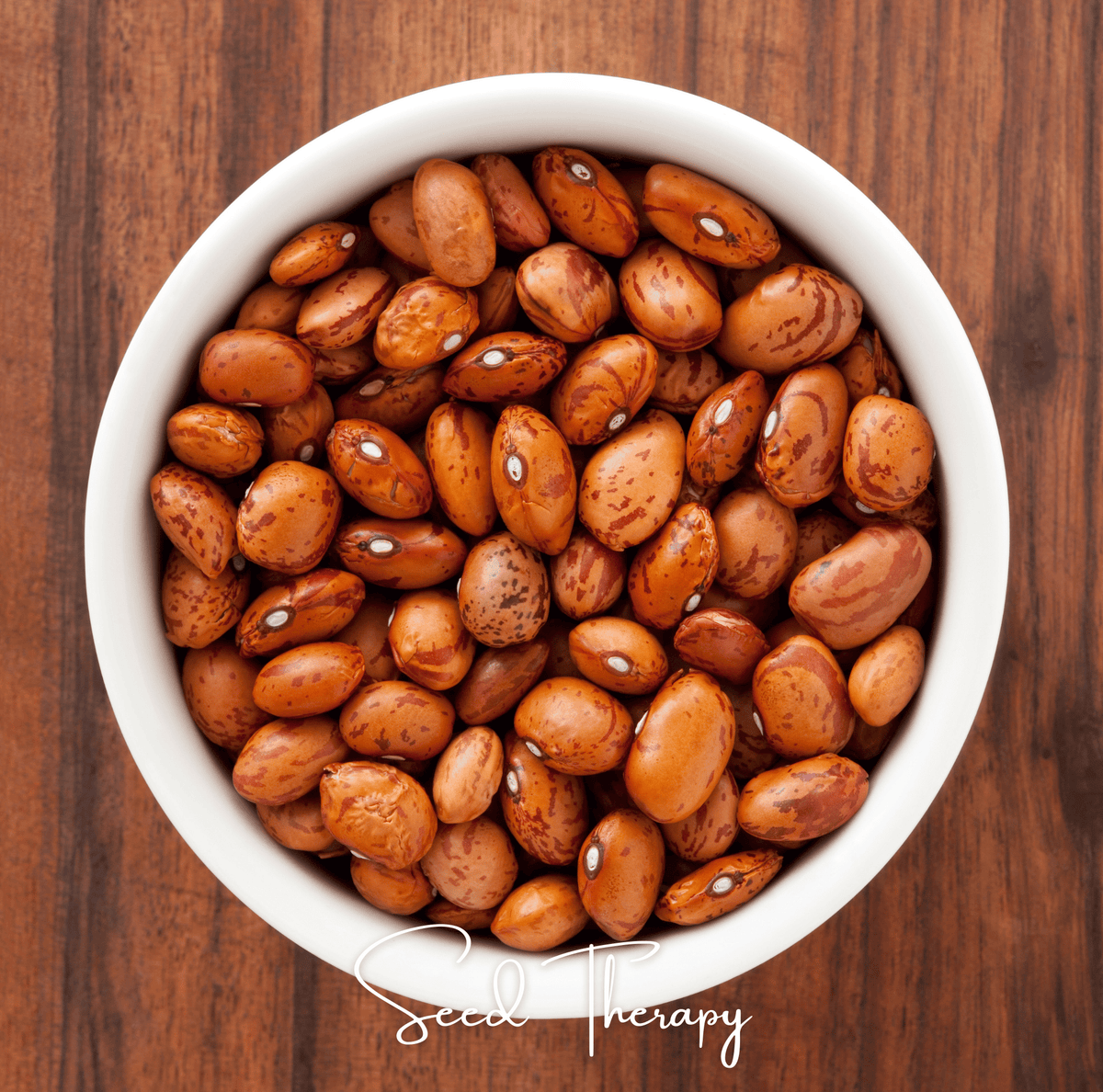 Pinto Bean – 20 Seeds