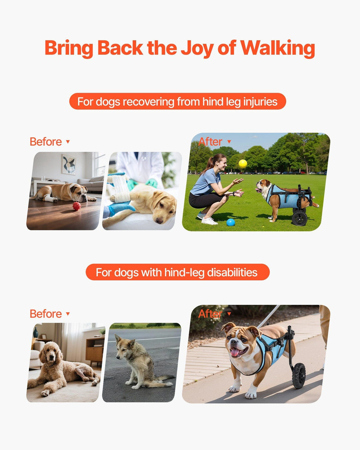 VEVOR Dog Wheelchair for Back Legs, Adjustable 2 Wheels Pet Wheelchair, Lightweight Dog Cart with Shock-Absorbing Wheels, Mobility Support Wheel Chair for Disabled Injured Dogs up to 33lbs, Medium
