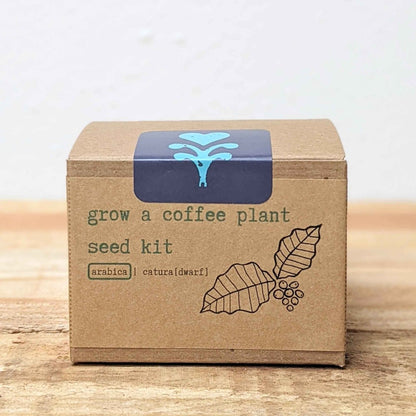 Grow a Coffee Plant Seed Kit