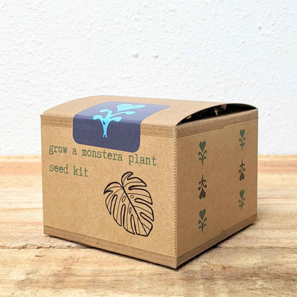 Grow a Monstera Seed Kit