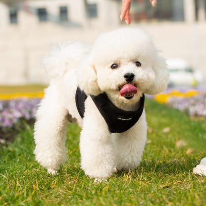 Mr. Peanut's PupTrek Soft Mesh Pet Harness with Matching Leash – Adjustable, Breathable, Choke-Free