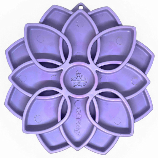 Mandala Softie eTray Shallow Slow Feeder Dog Bowl with Suction Cups |  USA Made